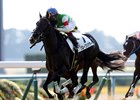 Queens Ring won last year's Queen Elizabeth II Cup and looks to defend her title at Kyoto
