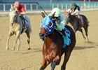 Bourbon Empire (left) finished third in the 2016 Notebook Stakes