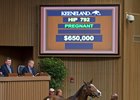 Easy Feeling sells for $650,000 at Keeneland November.