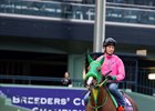 Nuovo Record at Santa Anita Nov. 1