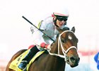 Hay Dakota and jockey Denny Velazquez