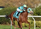 Maker Seeks Fourth Straight Connally Turf Cup Win Maker Seeks Fourth Straight Connally Turf Cup Win
