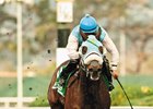 Washington Star Stryker Phd Set for 2017 Debut Washington Star Stryker Phd Set for 2017 Debut