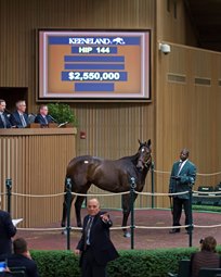 Celestine for $2.55 Million at Keeneland Celestine for $2.55 Million at Keeneland