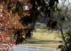 Keeneland November