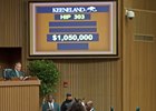 Tapit colt, sold for $1.05 million.