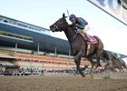 Mo Town won the Remsen Stakes but disappointed in his 3-year-old debut