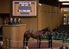 SF Bloodstock purchased Paola Queen for $1.7 million at last year's Keeneland November breeding stock sale