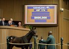 Hip 174, a Pioneerof the Nile colt sells for $600,000