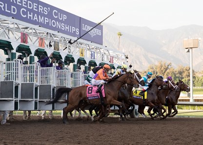 Beholder; 2016; Longines Breeders Cup Distaff; Ryan Thompson; Santa Anita