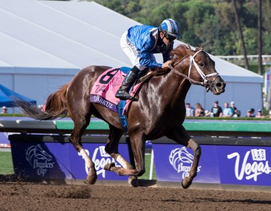 Tamarkuz, with Mike Smith up, wins the Las Vegas Dirt Mile at Santa Anita on Nov. 4, 2016, in Arcadia, California.