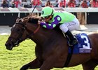 New Money Honey earned her first grade 1 win in the 2016 Breeders' Cup Juvenile Fillies Turf and will return to the Santa Anita grass Dec. 30 in the American Oaks