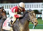 McCraken Nears 3-Year-Old Season Debut in Florida McCraken Nears 3-Year-Old Season Debut in Florida
