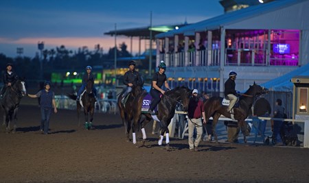 Carina Mia comes off track in front of Trackside Breakfast Marquee
Works at Santa Anita in preparation for 2016 Breeders' Cup on Nov. 1, 2016, in Arcadia, CA.