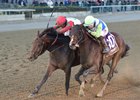 Connect winning the 2016 Cigar Mile