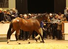 Godolphin Draft in Demand at Tattersalls Godolphin Draft in Demand at Tattersalls