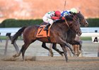 Connect Will Not Point for Pegasus World Cup Connect Will Not Point for Pegasus World Cup