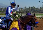 Drefong after his victory in the TwinSpires Breeders' Cup Sprint (G1)