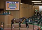 Ithinkisawapudycat, the dam of grade I winner Sweet Loretta, was for $2.2 million