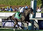 Tourist streaks home to take the Mile