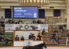 Eblouissante in the ring Nov. 29 at Tattersalls December mares sale