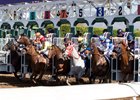 The field leaving the gate for the Breeders' Cup Sprint Nov. 5 at Santa Anita Park