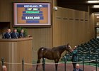 Hip 590, Sea Island, from Claiborne brings $480,000 from Elliott Walden of WinStar Farm