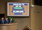 Tapicat brought $2.2 million