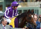 Highland Reel after his 2016 Longines Breeders' Cup Turf win