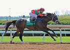 Four-Time Graded Winner Protonico Retired Four-Time Graded Winner Protonico Retired