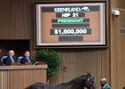 My Conquestadory brought $1.5 Million