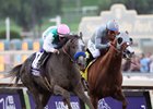 Arrogate-'Chrome' Match Race in Pegasus? Arrogate-'Chrome' Match Race in Pegasus?