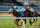 Bigger Picture wins the 2016 Red Smith