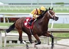 Stanford wins the 2016 Harlan's Holiday Stakes (gr. III)