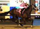 King and His Court wins the 2016 Display Stakes