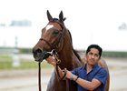Heart to Heart will make his 30th start in the Bernard Baruch at Saratoga Race Course