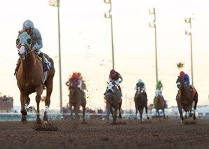 California Chrome Gallops Home in 'Challenge'