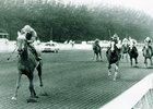 Holiday Horse Names, Gifts That Keep Giving Holiday Horse Names, Gifts That Keep Giving