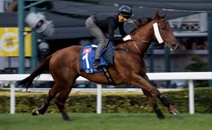 Able Friend Out to Regain Hong Kong Glory