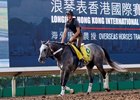 Pure Sensation jogging at Sha Tin Dec. 10