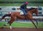 Champagne Room - Santa Anita, December 15, 2016