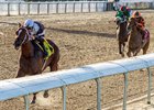 Danzatrice Dominates Tiffany Lass Stakes Danzatrice Dominates Tiffany Lass Stakes