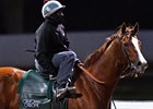 'Chrome' to Face Nine in Winter Classic 'Chrome' to Face Nine in Winter Classic