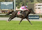 Bettys Bambino wins the San Simeon