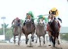 Stanford wins the 2016 Harlan's Holiday