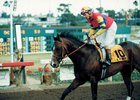 A.P. Indy, after his victory in the 1991 Hollywood Futurity