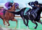 Shared Belief print