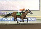 Cool Arrow Cruises to Springboard Mile Win Cool Arrow Cruises to Springboard Mile Win