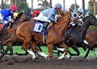 California Chrome with jockey Victory Espinoza wins the Winter Challenge at Los Alamitos Race Course on December 17, 2016.