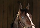 Upstart